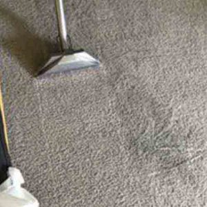 Carpet cleaning service in Lake Forest