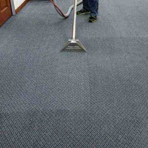 Professional Carpet Cleaning Service in Newport Beach