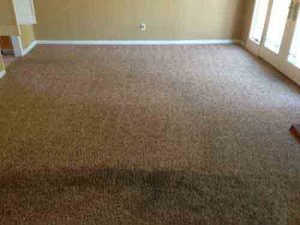 Carpet Cleaning in Ladera Ranch
