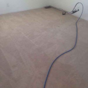 Carpet Cleaning services in Trabuco Canyon