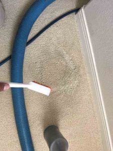 Carpet cleaning service in Foothill Ranch