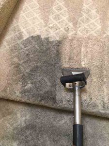 carpet cleaning santa ana