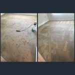 top 5 reasons to get your carpet cleaned
